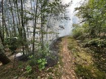 F WALD 1