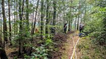 F WALD 1